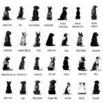 Dog Memorial Suncatcher | Personalized Breed and Name Gift - Image 3